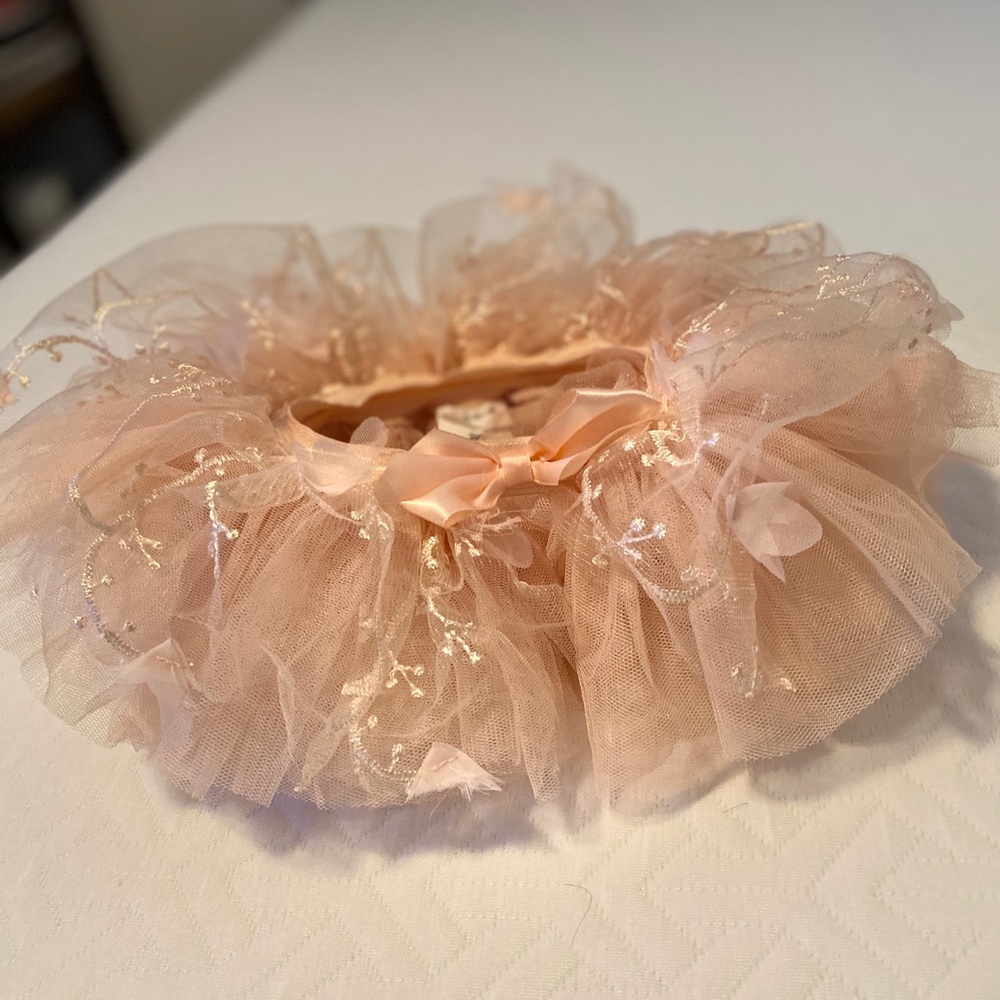 Fairy tutu, wings and headband